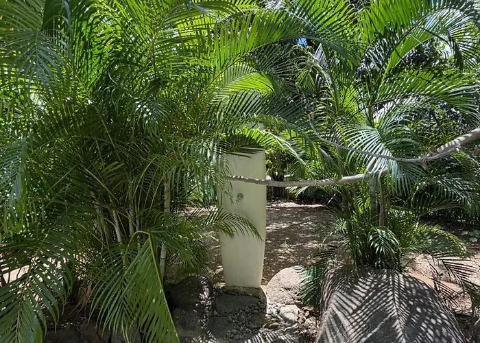 El Labrador